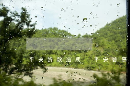 平安贷款逾期 平安普惠 平安贷款逾期 平安普惠